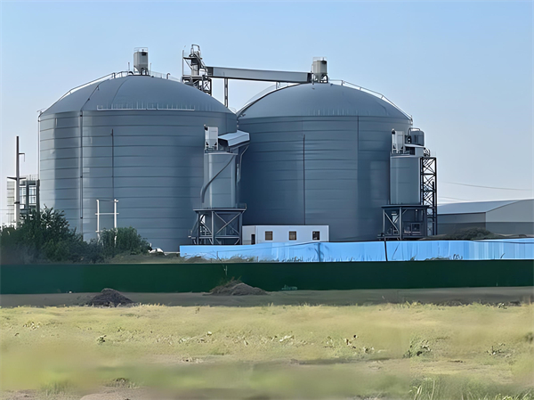 资阳钢板仓建造施工方案详解